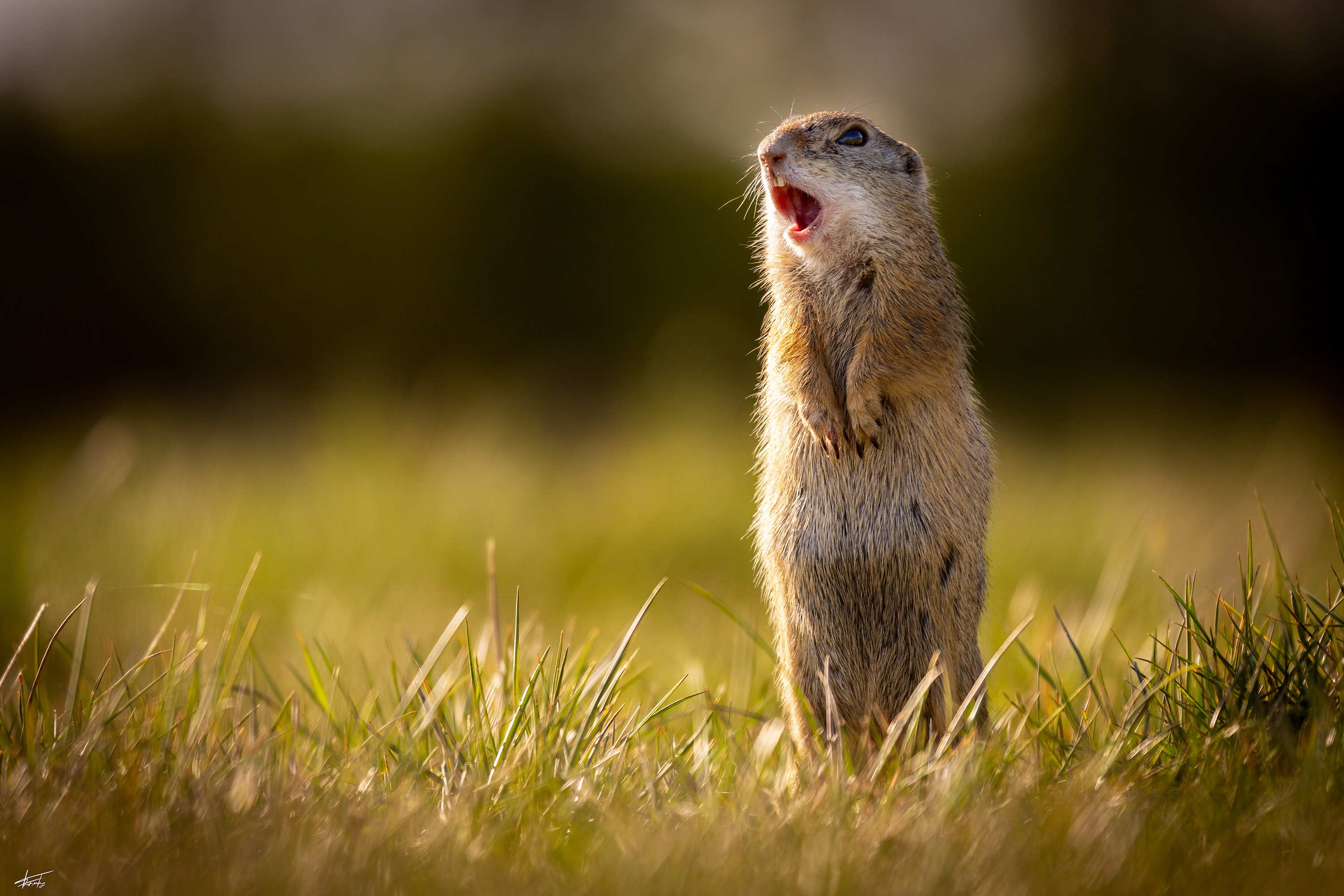  MG 9990 Bearbeitet Kopie